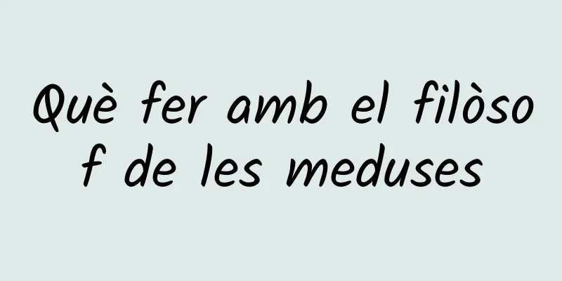 Què fer amb el filòsof de les meduses