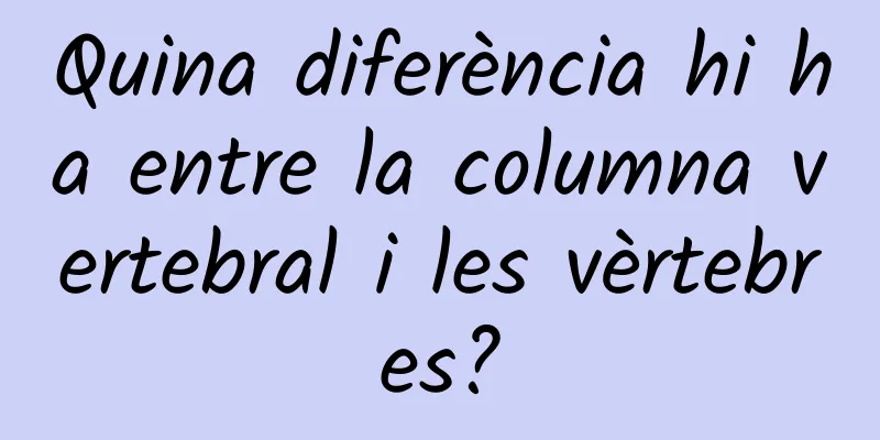 Quina diferència hi ha entre la columna vertebral i les vèrtebres?