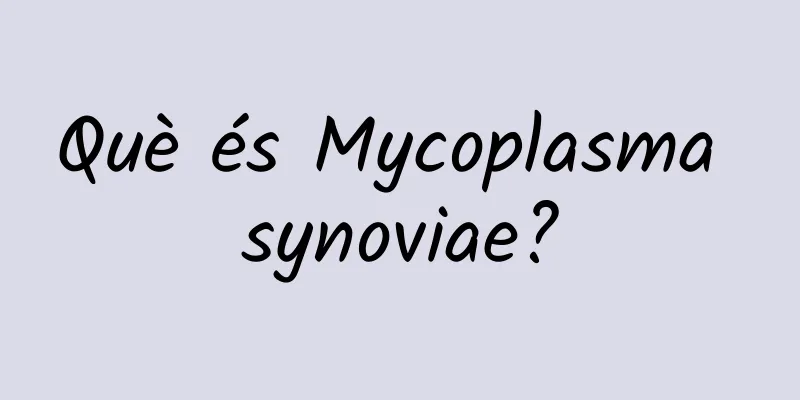 Què és Mycoplasma synoviae?
