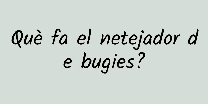 Què fa el netejador de bugies?