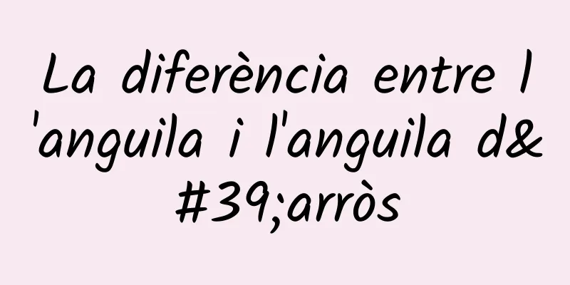 La diferència entre l'anguila i l'anguila d'arròs