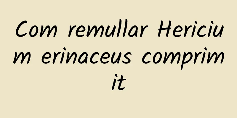 Com remullar Hericium erinaceus comprimit