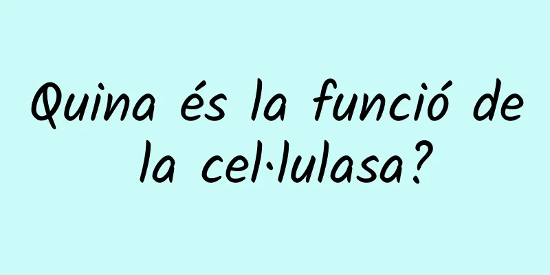 Quina és la funció de la cel·lulasa?