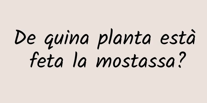 De quina planta està feta la mostassa?