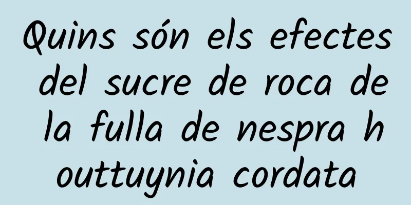 Quins són els efectes del sucre de roca de la fulla de nespra houttuynia cordata