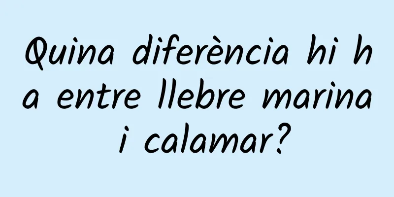Quina diferència hi ha entre llebre marina i calamar?