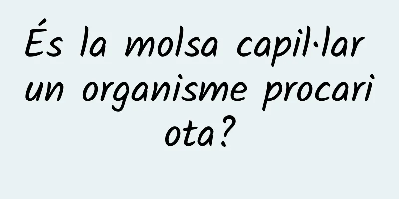 És la molsa capil·lar un organisme procariota?