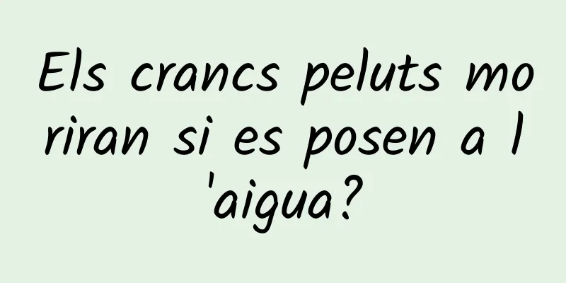 Els crancs peluts moriran si es posen a l'aigua?