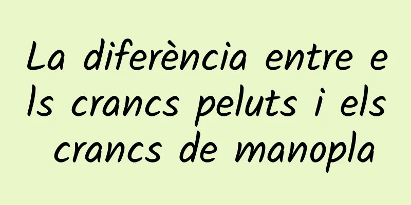 La diferència entre els crancs peluts i els crancs de manopla