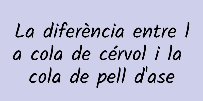 La diferència entre la cola de cérvol i la cola de pell d'ase