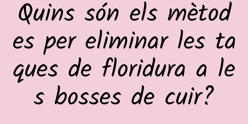 Quins són els mètodes per eliminar les taques de floridura a les bosses de cuir?
