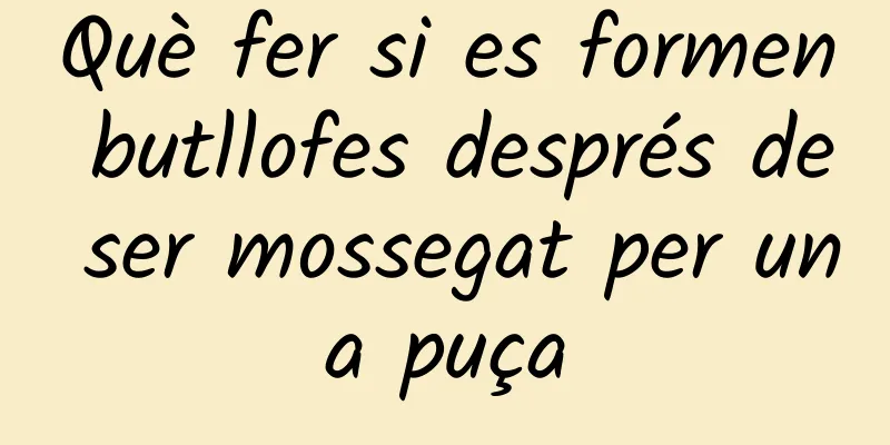 Què fer si es formen butllofes després de ser mossegat per una puça