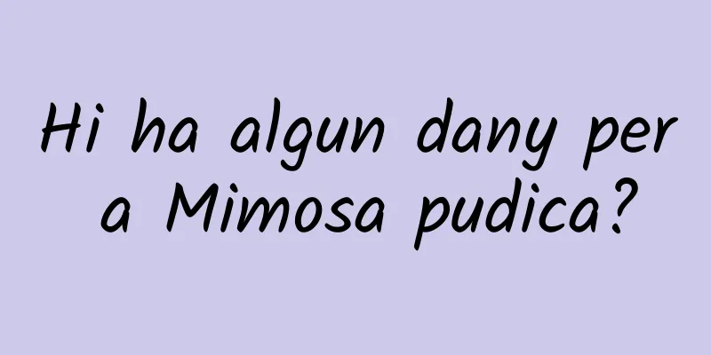 Hi ha algun dany per a Mimosa pudica?
