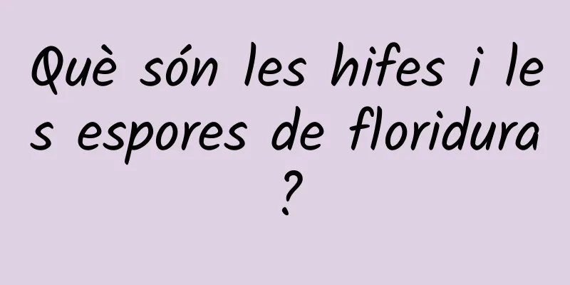 Què són les hifes i les espores de floridura?