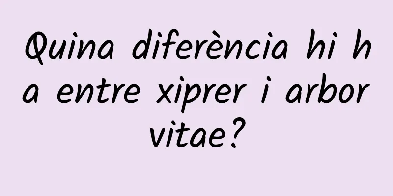 Quina diferència hi ha entre xiprer i arborvitae?