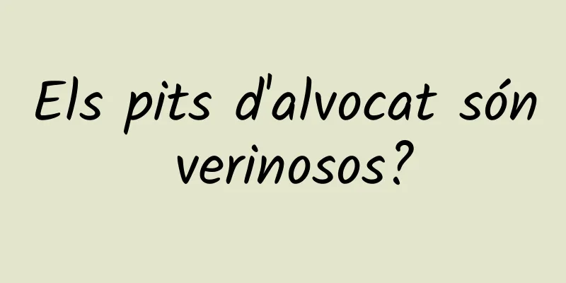 Els pits d'alvocat són verinosos?