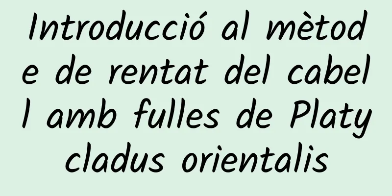 Introducció al mètode de rentat del cabell amb fulles de Platycladus orientalis