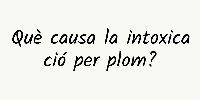 Què causa la intoxicació per plom?