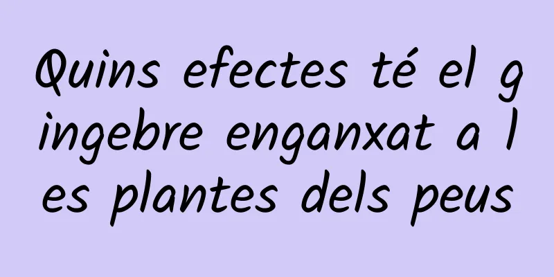Quins efectes té el gingebre enganxat a les plantes dels peus