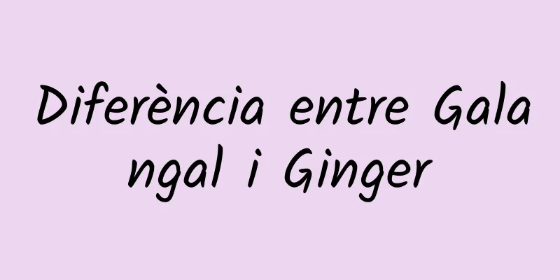 Diferència entre Galangal i Ginger