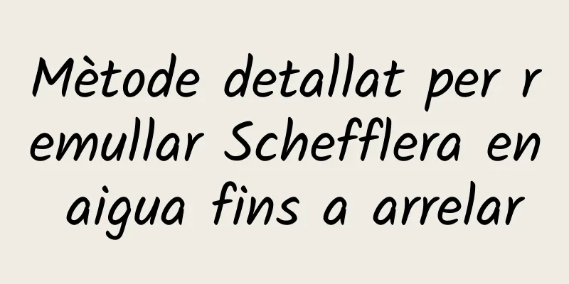Mètode detallat per remullar Schefflera en aigua fins a arrelar