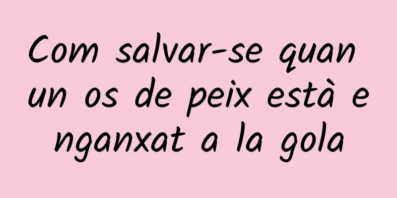 Com salvar-se quan un os de peix està enganxat a la gola