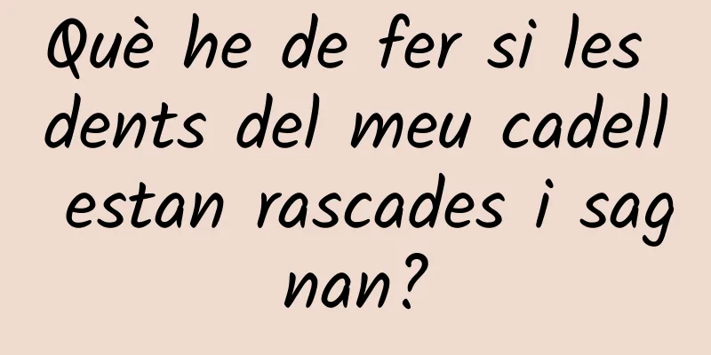 Què he de fer si les dents del meu cadell estan rascades i sagnan?