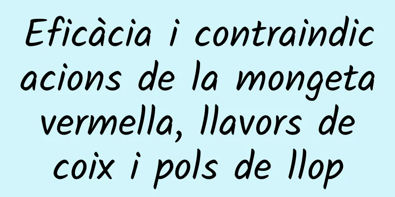 Eficàcia i contraindicacions de la mongeta vermella, llavors de coix i pols de llop