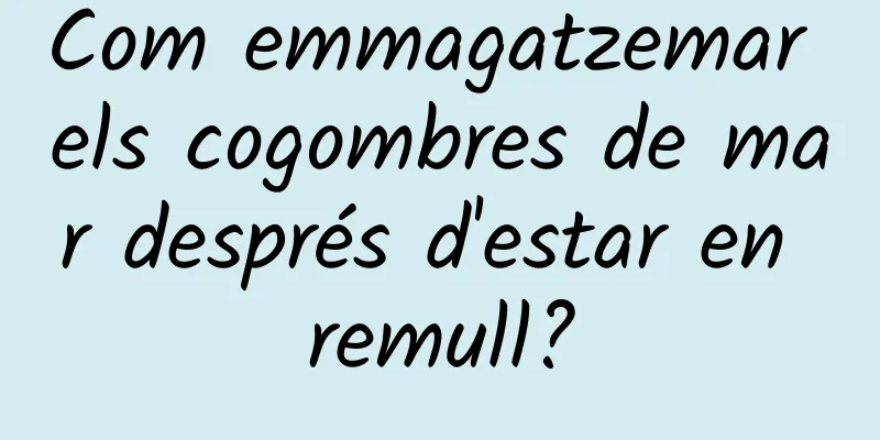 Com emmagatzemar els cogombres de mar després d'estar en remull?