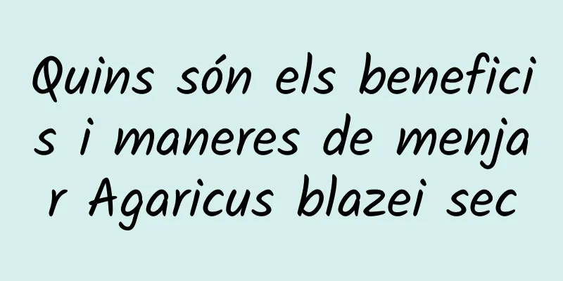 Quins són els beneficis i maneres de menjar Agaricus blazei sec