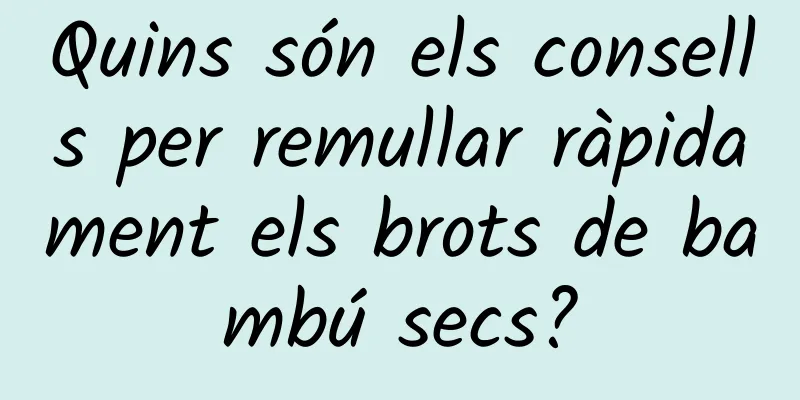 Quins són els consells per remullar ràpidament els brots de bambú secs?