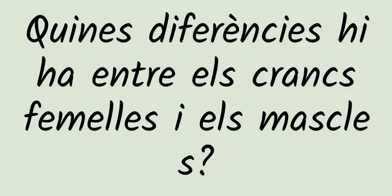 Quines diferències hi ha entre els crancs femelles i els mascles?