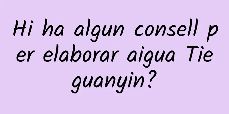 Hi ha algun consell per elaborar aigua Tieguanyin?