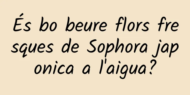 És bo beure flors fresques de Sophora japonica a l'aigua?