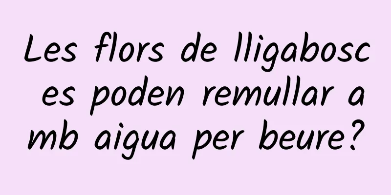 Les flors de lligabosc es poden remullar amb aigua per beure?