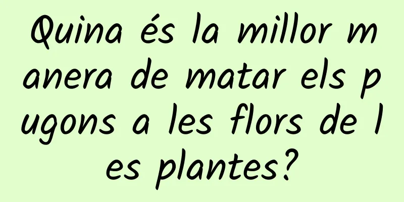 Quina és la millor manera de matar els pugons a les flors de les plantes?