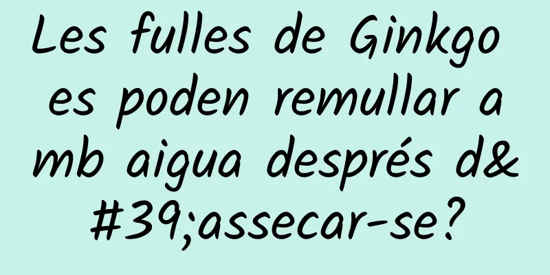 Les fulles de Ginkgo es poden remullar amb aigua després d'assecar-se?