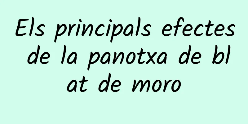 Els principals efectes de la panotxa de blat de moro
