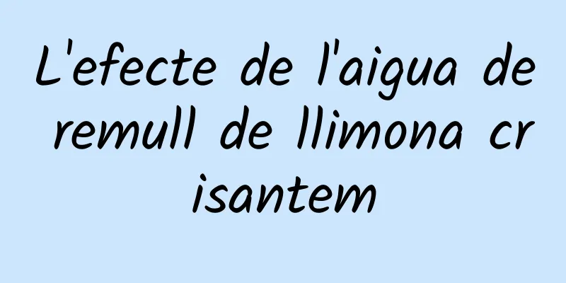 L'efecte de l'aigua de remull de llimona crisantem