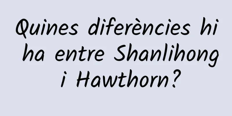 Quines diferències hi ha entre Shanlihong i Hawthorn?
