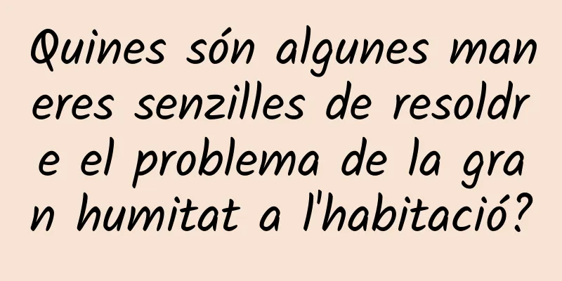 Quines són algunes maneres senzilles de resoldre el problema de la gran humitat a l'habitació?