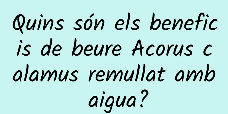 Quins són els beneficis de beure Acorus calamus remullat amb aigua?