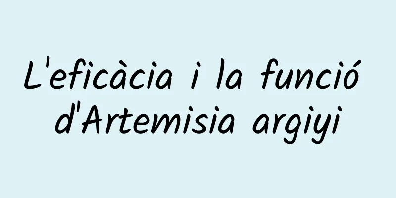 L'eficàcia i la funció d'Artemisia argiyi