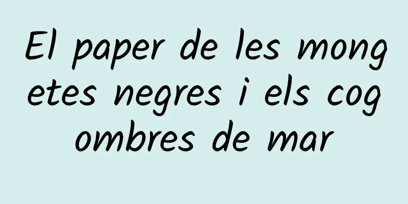 El paper de les mongetes negres i els cogombres de mar