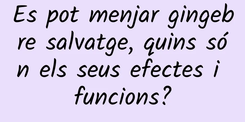 Es pot menjar gingebre salvatge, quins són els seus efectes i funcions?