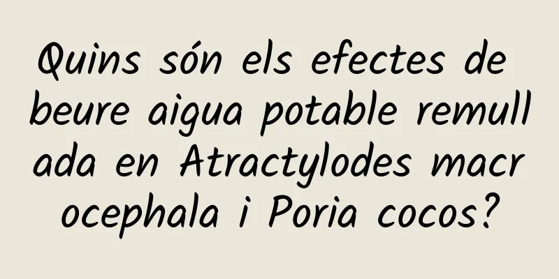 Quins són els efectes de beure aigua potable remullada en Atractylodes macrocephala i Poria cocos?