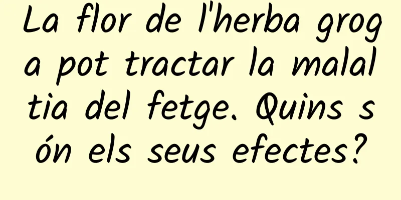 La flor de l'herba groga pot tractar la malaltia del fetge. Quins són els seus efectes?