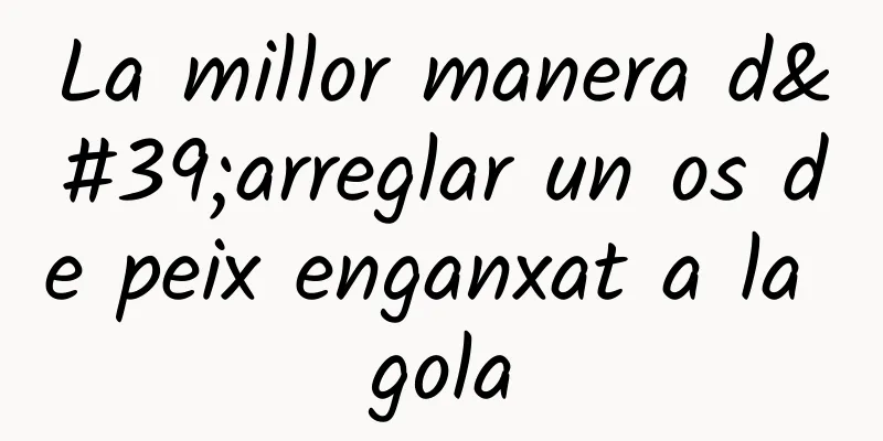 La millor manera d'arreglar un os de peix enganxat a la gola