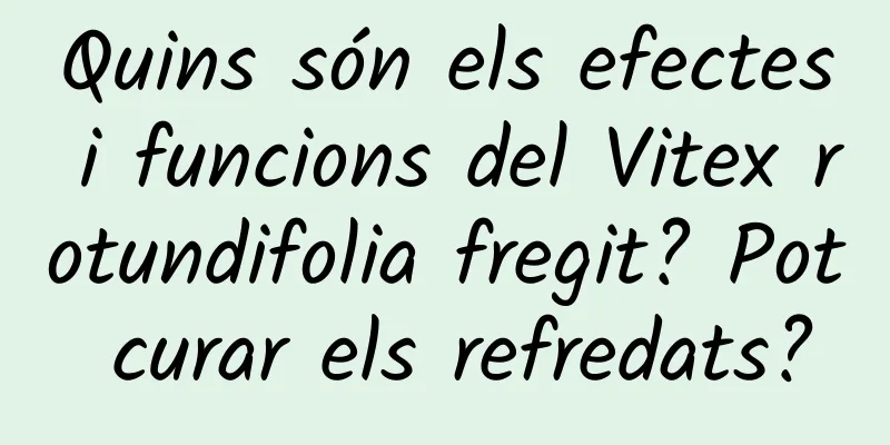 Quins són els efectes i funcions del Vitex rotundifolia fregit? Pot curar els refredats?