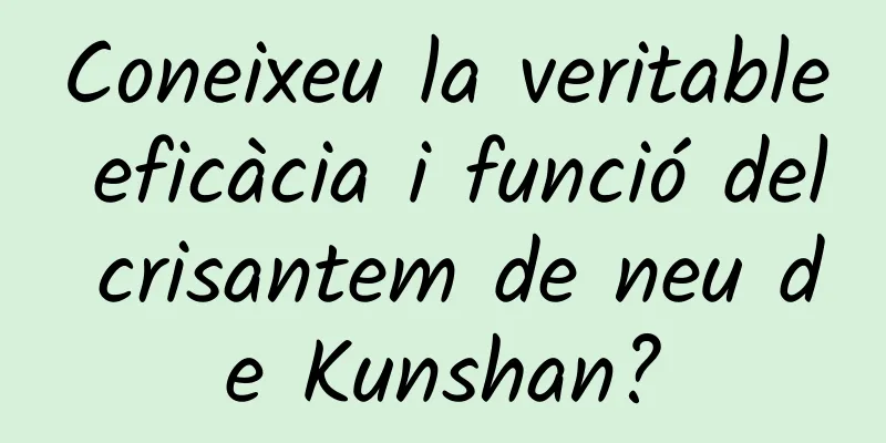 Coneixeu la veritable eficàcia i funció del crisantem de neu de Kunshan?